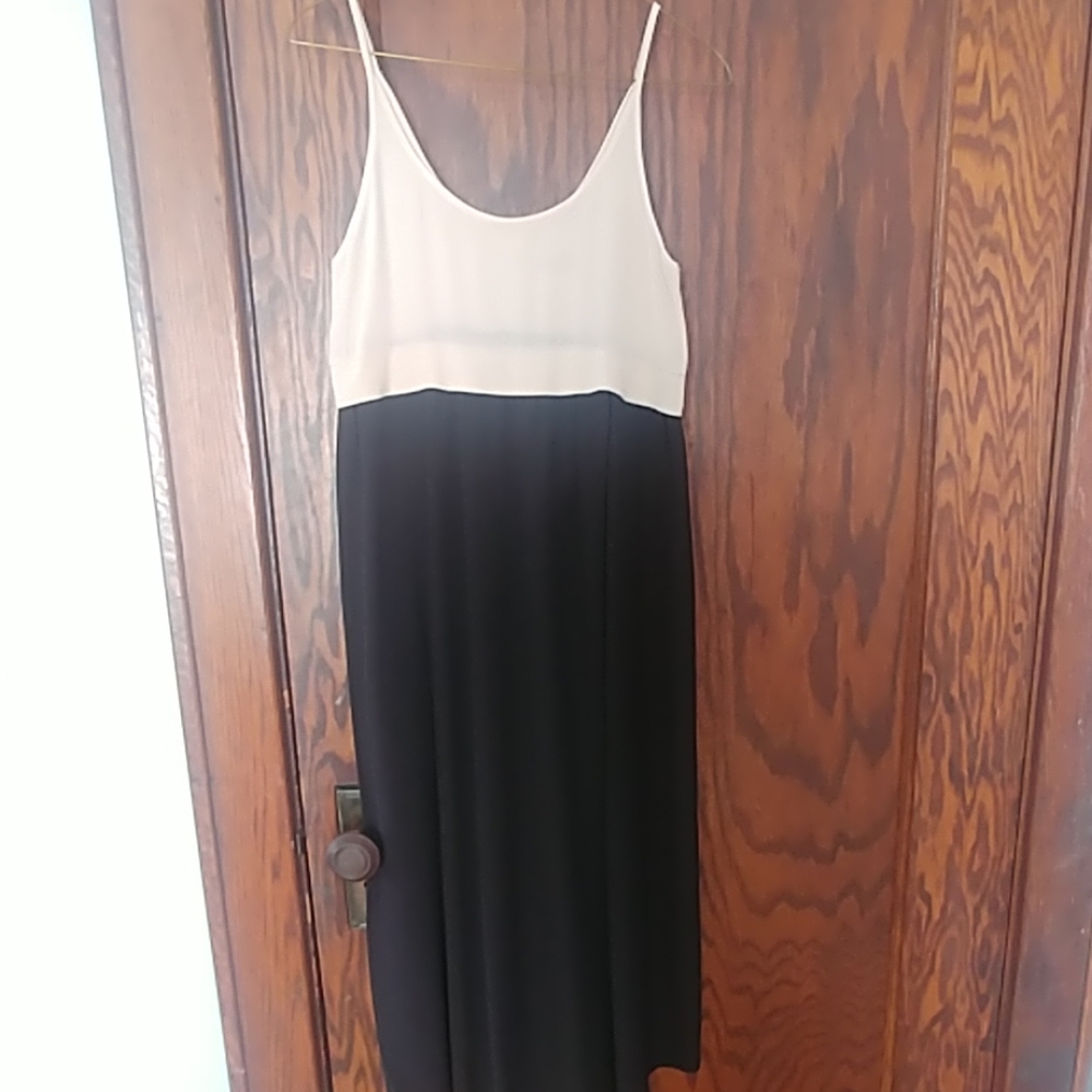 Sheer maxi dress from Aritzia size xxs